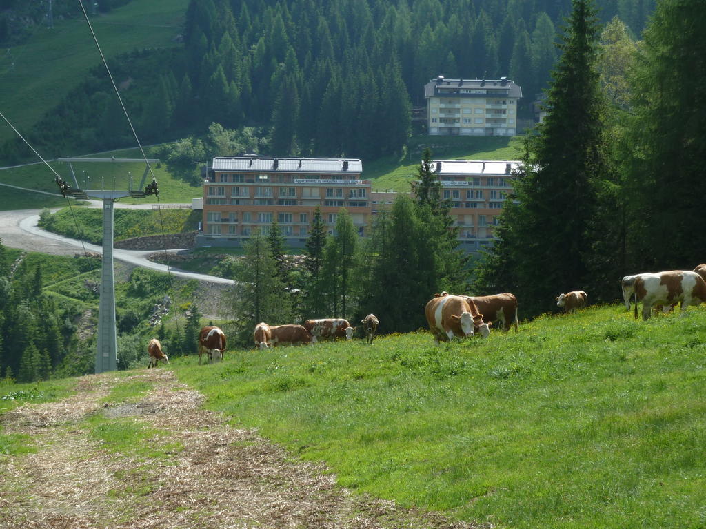 Appartementhaus Ckpk Зонненальпе-Насфельд Екстер'єр фото